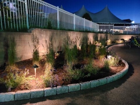 Project 20210617 0052