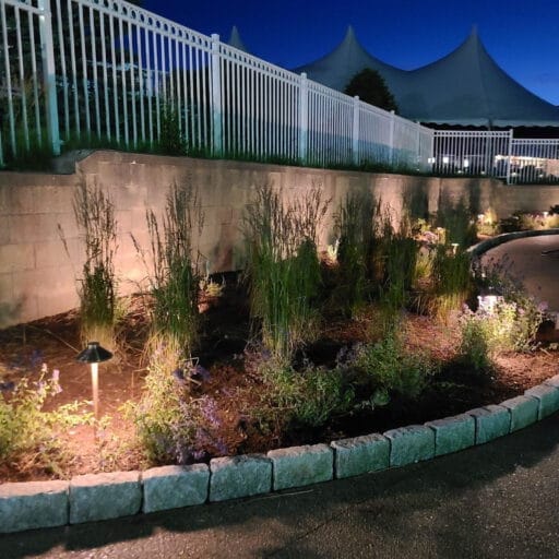 Project 20210617 0052