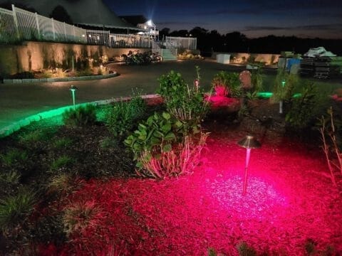 Project 20210617 0053