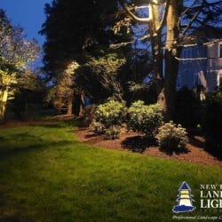 Project 20220618 0030