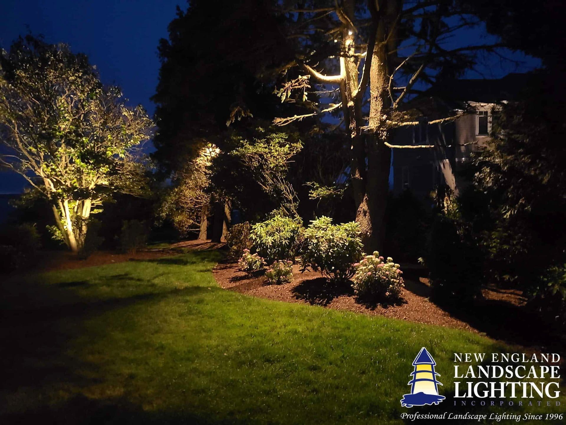 Project 20220618 0032