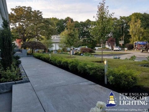 Project 20220618 0038