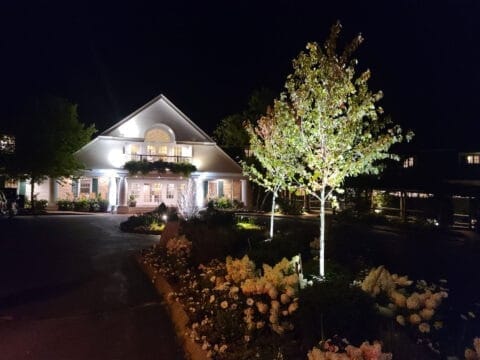 Project 20220618 0062